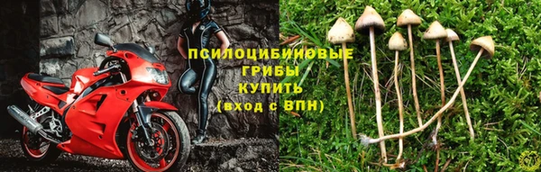 соль ск Алзамай