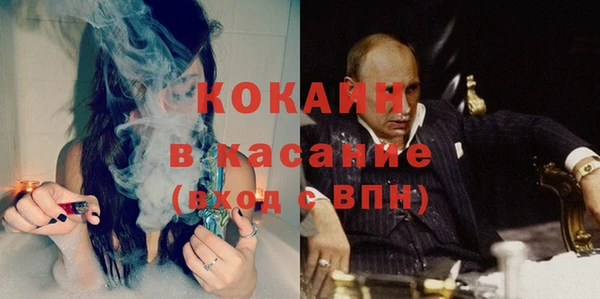 соль ск Алзамай