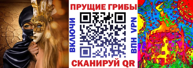 Галлюциногенные грибы GOLDEN TEACHER  Дегтярск 